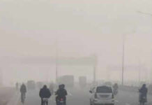 Haryana – दिल्ली में घना कोहरा छाया – सोमवार को छिटपुट बारिश का अनुमान