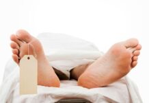 दो सगे भाइयों में विवाद एक को उतारा मोत के घाट, जानिए क्या है पूरी खबर