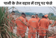 पंचकूला में घग्गर में फंसे 8 लोग: मछली पकड़ने गए थे, NDRF ने रेस्क्यू किए; बचाए गए लोगों में महिलाएं-बच्चे भी शामिल App Install Banner