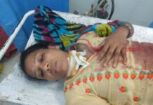 हांसी में बुआ पर जानलेवा हमला: नशा करने के लिए पैसे देने से मना करने पर चाकू मारा, पेट-गर्दन पर 2-2 वार किए App Install Banner