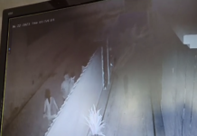 हिसार में तीन घरों में चोरी: कूलर में डाली नशीली दवाई; चोर 40 तोले सोना, दो नाली बंदू और 40 कारतूस लेकर फरार App Install Banner