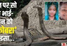 UP: छत पर दादा-दादी के साथ सो रहे पांच भाई-बहनों में से तीन को सांप ने डसा, दो की मौत; एक की हालत गंभीर Brother and sister sleeping on the terrace died due to snake bite in Mahoba