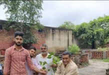 नेताजी सुभाष पार्क में चलाया गया पौधरोपण अभियान App Install Banner