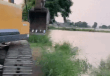 सिरसा में घग्गर मचा रही खूब तबाही: शहर के डूबने का खतरा, बचाने को बनाए जा रहे बांध; ओटू हेड पर 44 हजार क्यूसेक पानी App Install Banner