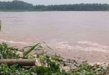 Punjab: पौंग डैम में सात लाख क्यूसेक पानी पहुंचा, पंजाब के पांच जिलों में अलर्ट, ब्यास नदी से दूर रहने की सलाह Seven lakh cusecs water reached Pong Dam alert in five districts of Punjab