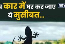 कार में घुस गई बिन बलाई छोटी सी आफत, छुटकारा पाने के ये हैं सटीक तरीके कार में घुस गई बिन बलाई छोटी सी आफत, छुटकारा पाने के ये हैं सटीक तरीके