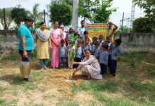 हर व्यक्ति पौधारोपण के साथ ही उनकी रक्षा भी करे: मोनिका App Install Banner