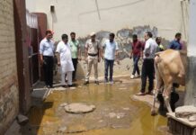 हिसर में मेयर करेंगे डेयरी संचालकों के साथ मीटिंग: गोबर के कारण हो रहे हैं सीवरेज जाम- जेई के खिलाफ मंत्री को लिखा पत्र App Install Banner