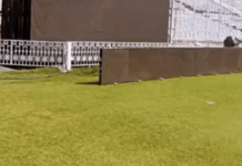 मोहाली में भारत-ऑस्ट्रेलिया वनडे कल: आज दोनों टीमें करेंगी अभ्यास, सुरक्षा के चाक-चौबंद इंतजाम App Install Banner