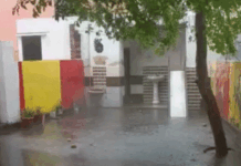 हरियाणा में 2 दिन बाद फिर से बारिश के आसार: मौसम विभाग का 10 जिलों में अलर्ट; गरज-चमक के साथ चलेगी तेज हवा App Install Banner