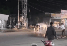 नारनौल में सांडों की लड़ाई से हड़कंप, VIDEO: सैलून के शीशे टूटे; बाल- बाल बची व्यक्तियों की जान, 40 हजार का नुकसान App Install Banner