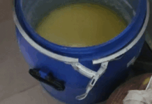 नूंह में सेहत विभाग ने डेयरियों पर की रेड: 2 गांव से 37 क्विंटल नकली पनीर बरामद; अन्य जगहों का रिकॉर्ड तैयार कर रही पुलिस App Install Banner