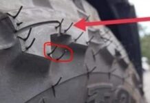 सिर्फ आपके सिर पर ही नहीं, कार के नए टायर पर भी निकलते हैं बाल, जानिए क्या है फायदा और नुकसान सिर्फ आपके सिर पर ही नहीं, कार के नए टायर पर भी निकलते हैं बाल, जानिए क्या है फायदा और नुकसान